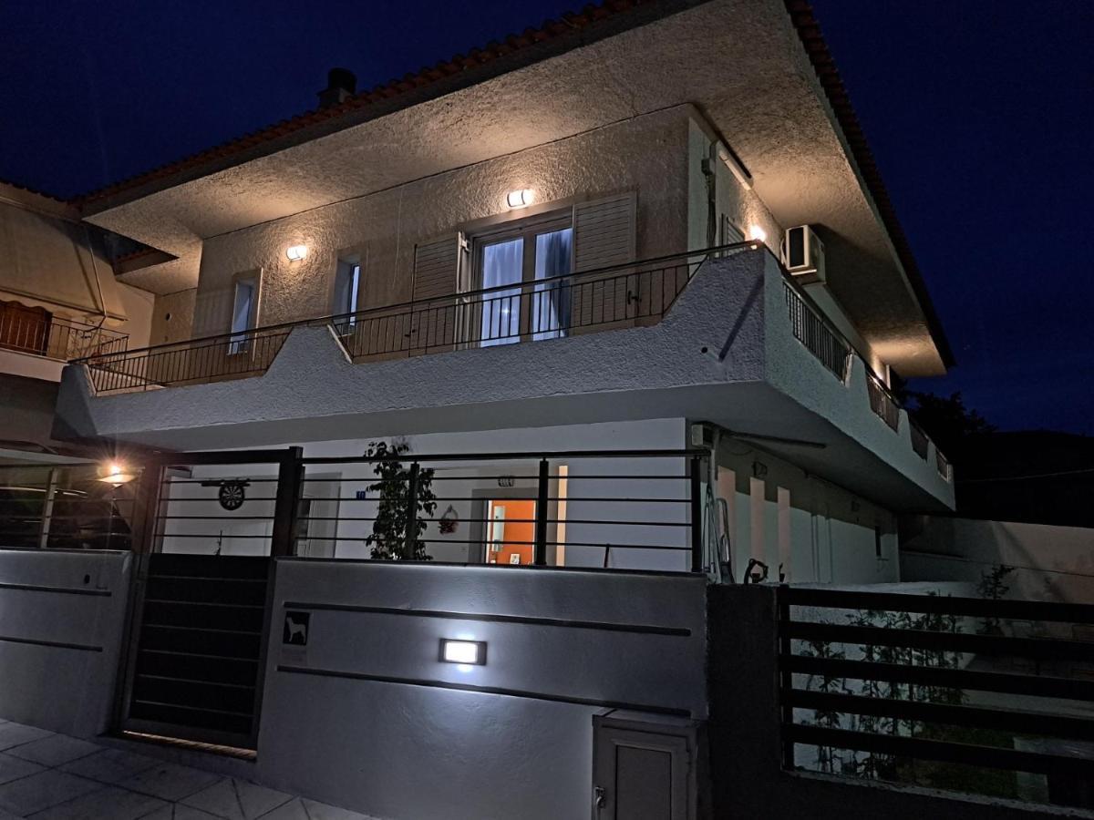 Luxury Apartment
