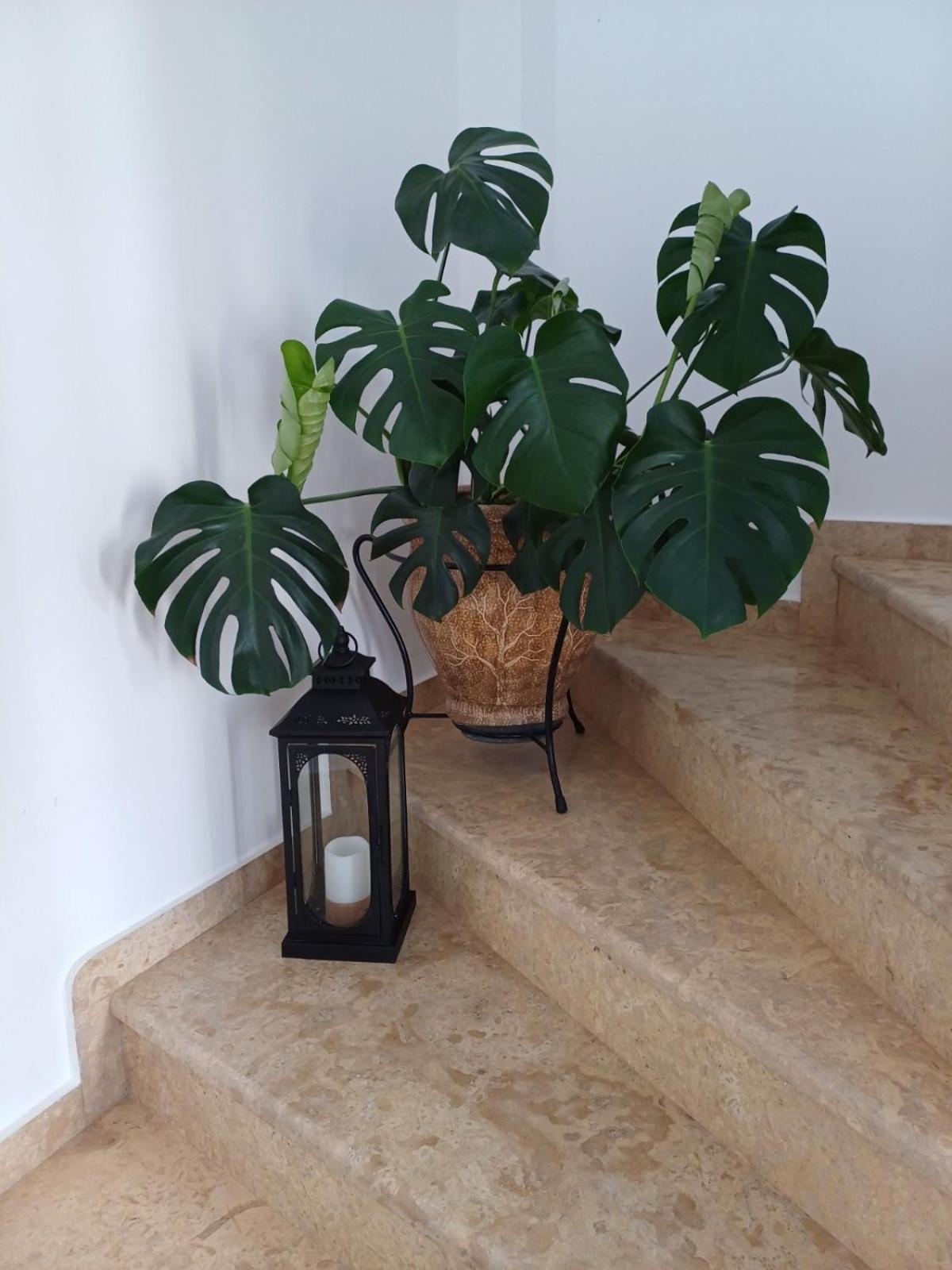 Luxury Apartment Amarynthos
